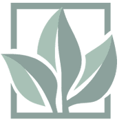 Audiology and Hearing Aid Services